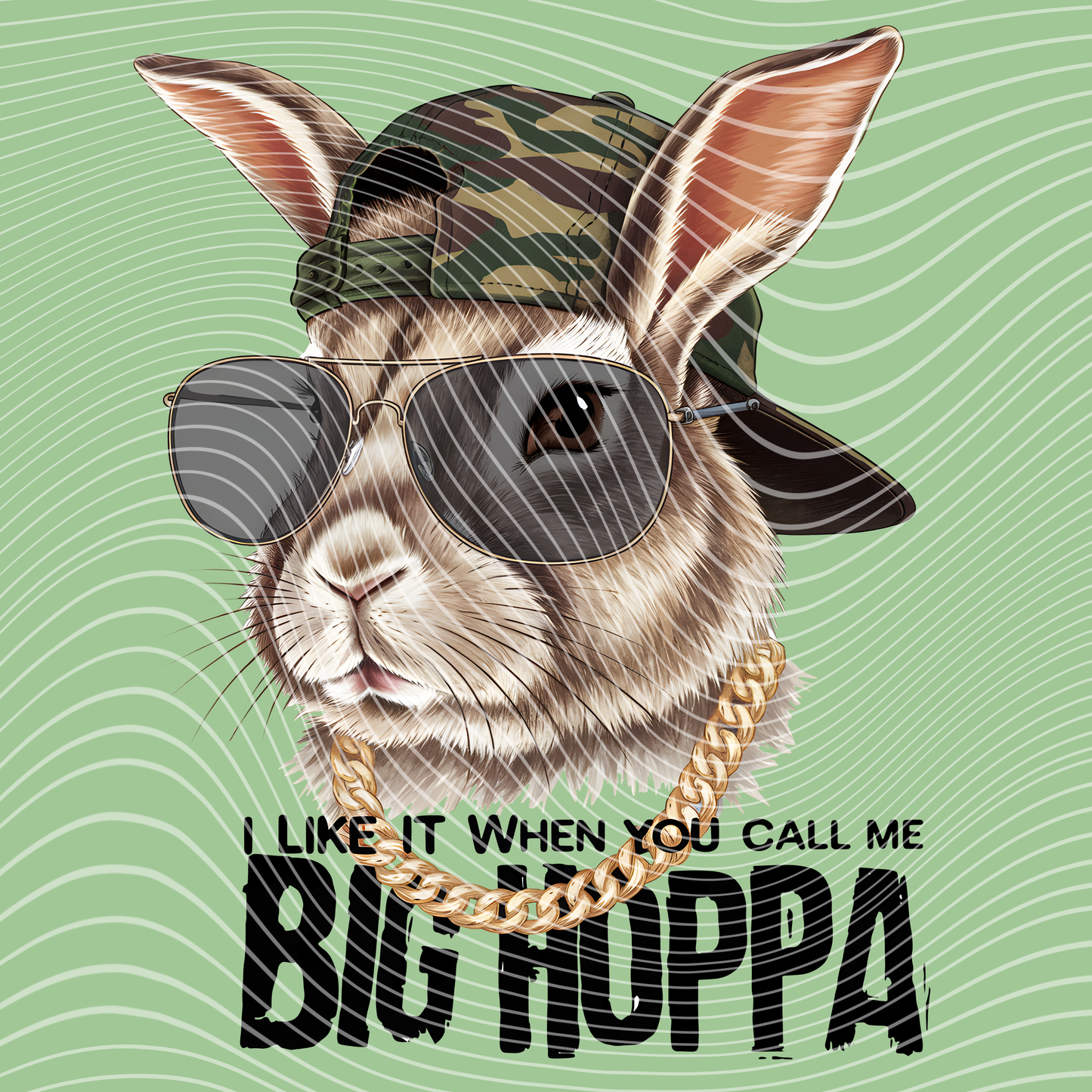 Big Hoppa Transfer