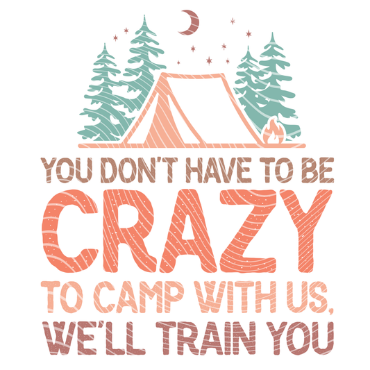We'll Train You Transfer