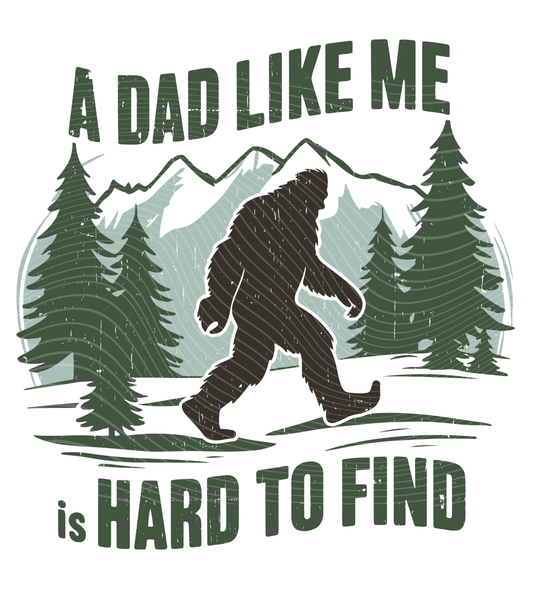 A Dad Like Me Transfer