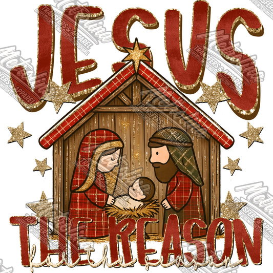 Jesus the Reason